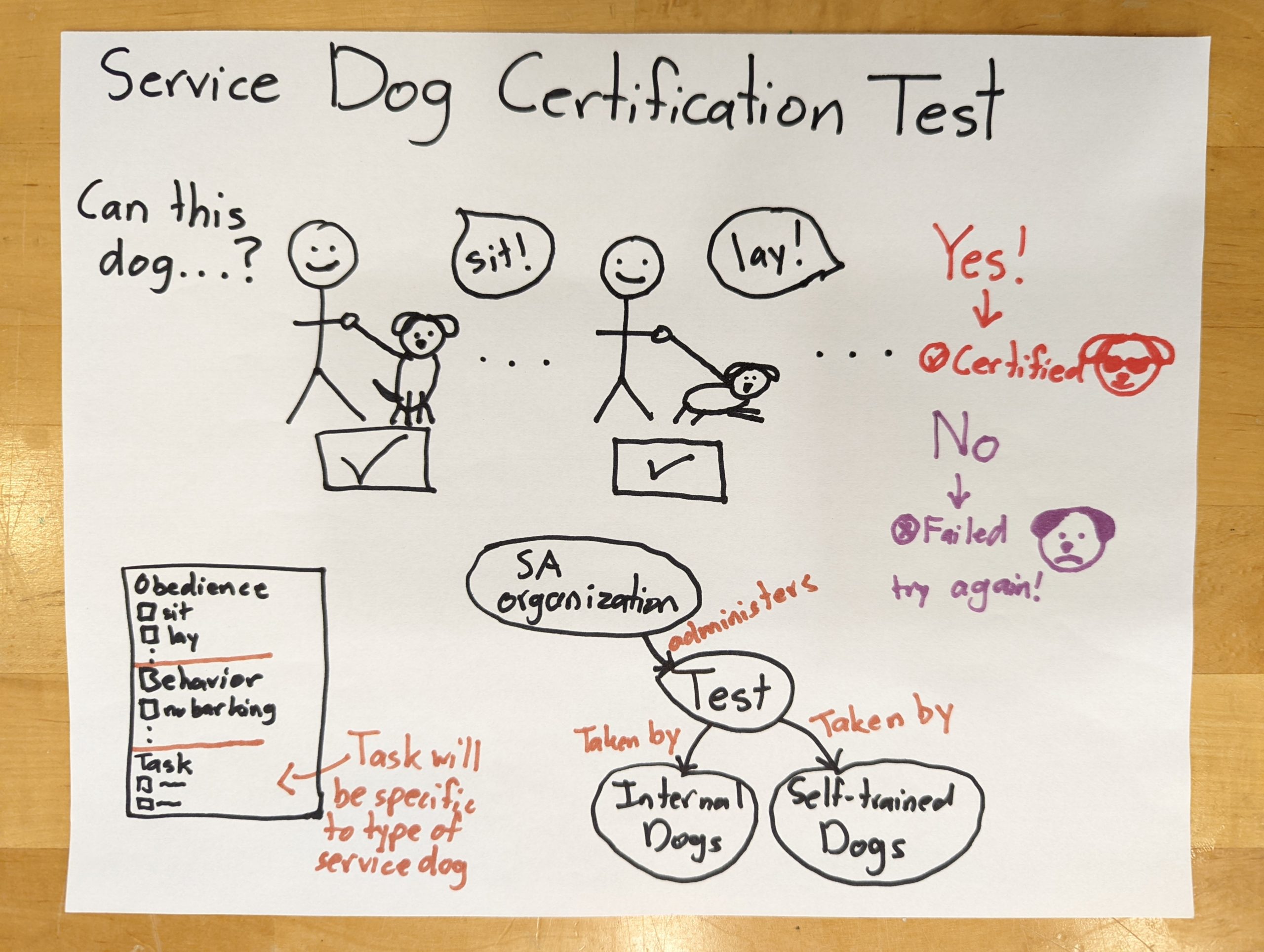 Permanent marker sketch detailing how a service dog certification test would operate