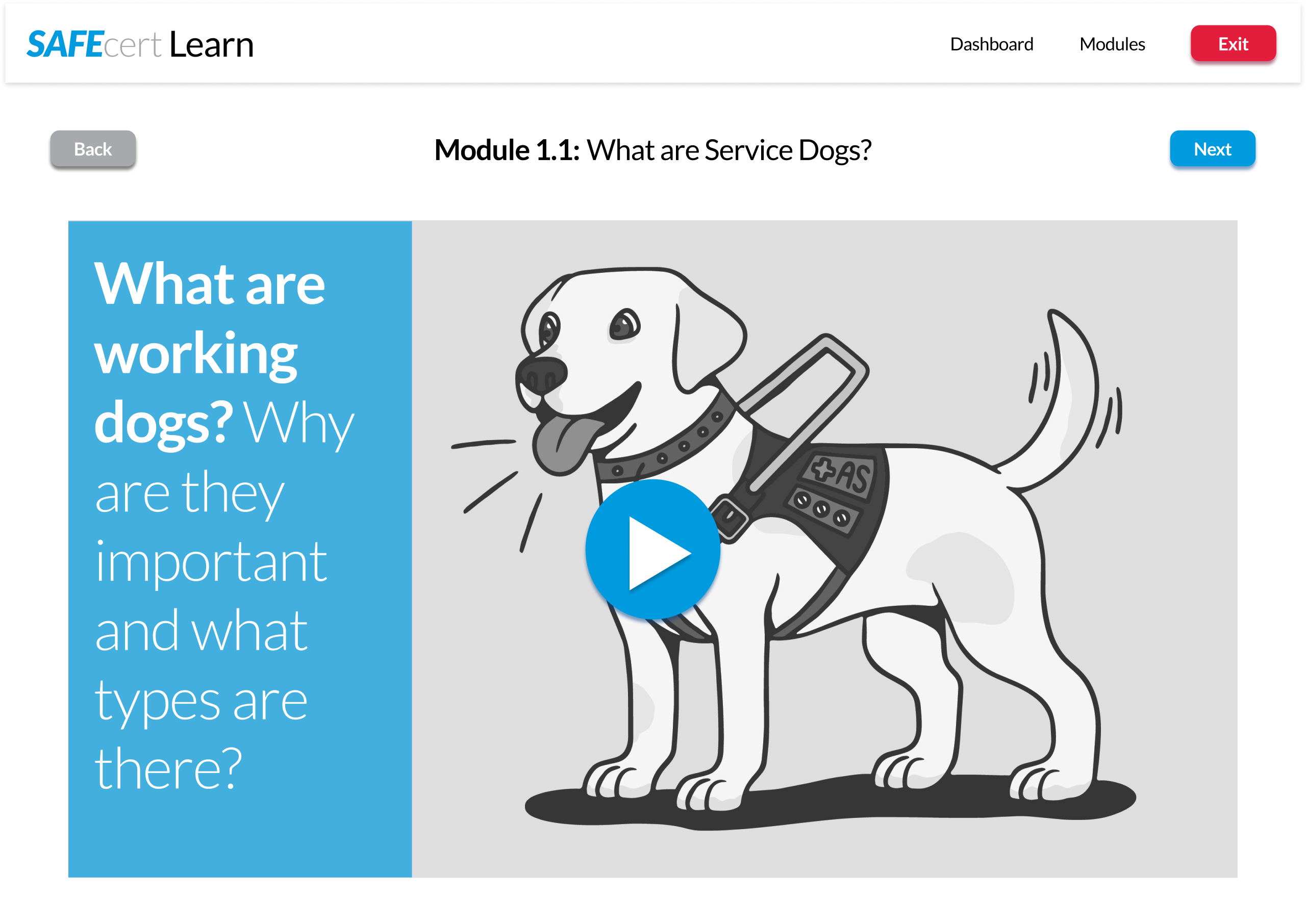 Training video section of the safecert learning portal. Module label at the top and video player with gray service dog cartoon