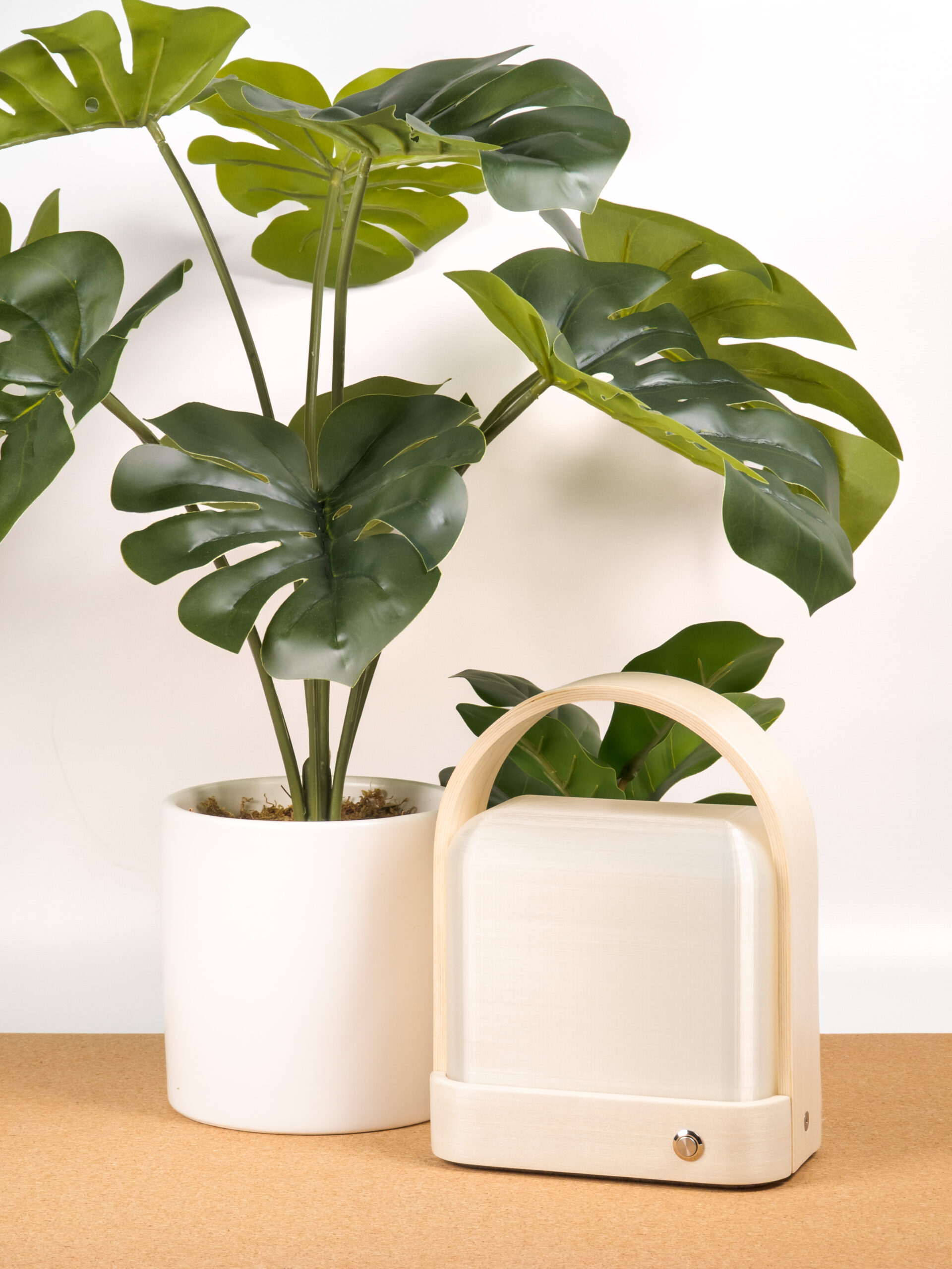 Wood and plastic lantern next to large potted plant on a cork surface with white background